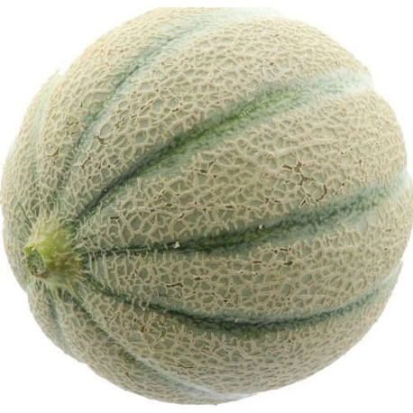MELON CANTALOUP 10PCS